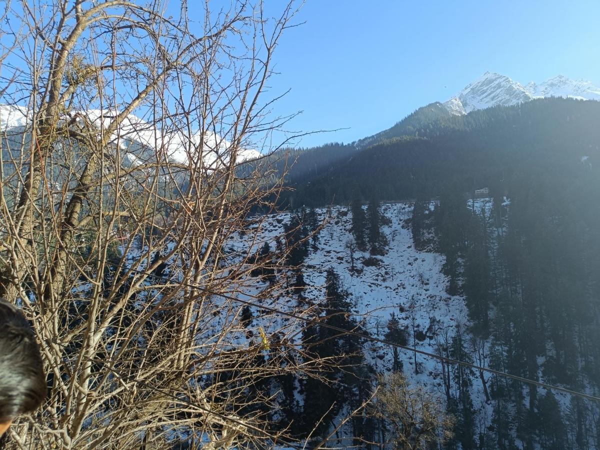 Snow Oak Guest House Kasol Eksteriør bilde